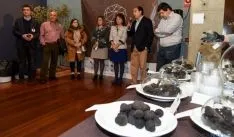 La segunda edición del Mercatrufas vuelve a ser una interesante cita con este apreciado hongo. / SN