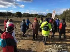 Los peregrinos en la etapa./DOS
