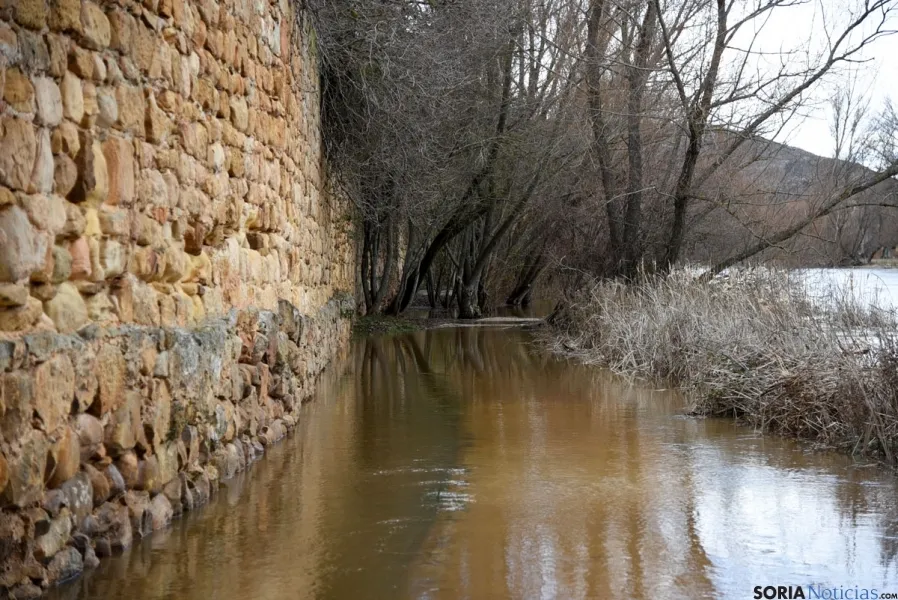 Imagen de la crecida del Duero a su paso por la ciudad. / SN