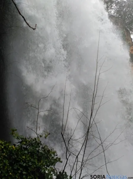 Foto 2 - La cascada de Fuentetoba, de nuevo noticia