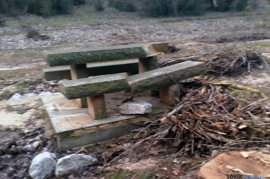 Foto 2 - Asden denuncia la tala de chopos en el Ca&ntilde;&oacute;n del R&iacute;o Lobos