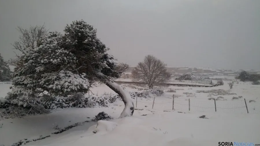 Imagen de la nevada en Duruelo