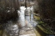 Imagen de la crecida del Duero a su paso por la ciudad. / SN