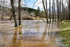 Imagen de la crecida del Duero a su paso por la ciudad. / SN