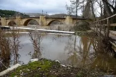 Imagen de la crecida del Duero a su paso por la ciudad. / SN