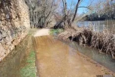 Las orillas del Duero este miércoles en la capital./SN