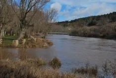 Imagen de la crecida del Duero a su paso por la ciudad. / SN