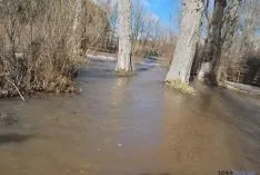 Imagen de la crecida del Duero a su paso por la ciudad. / SN