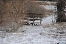 Imagen de la crecida del Duero a su paso por la ciudad. / SN