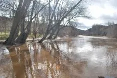 Imagen de la crecida del Duero a su paso por la ciudad. / SN