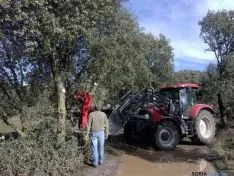 Buen ambiente en la jornada campestre de Ólvega./SN