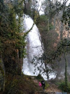 Foto 4 - La cascada de Fuentetoba, de nuevo noticia