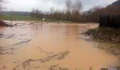 Los restos de ramas son arrastrados por la crecida hacia el cauce/ Reportaje gráfico: Asden