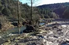 Foto 3 - Asden denuncia la tala de chopos en el Ca&ntilde;&oacute;n del R&iacute;o Lobos