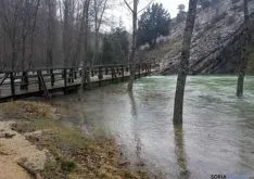 Puente de acceso en el límite del coto de pesca