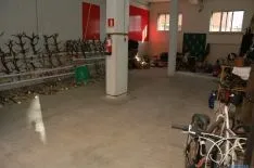 Foto 6 - Detienen a cuatro vecinos de Soria que podr&iacute;an ser los autores de medio centenar de robos en la provincia