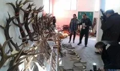 Material robado, en el que destacan los cuernos de ciervo