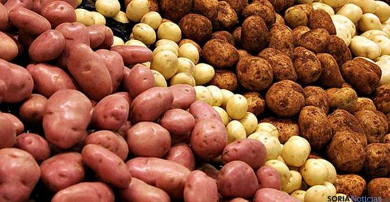 Diversas variedades de patata. / SN