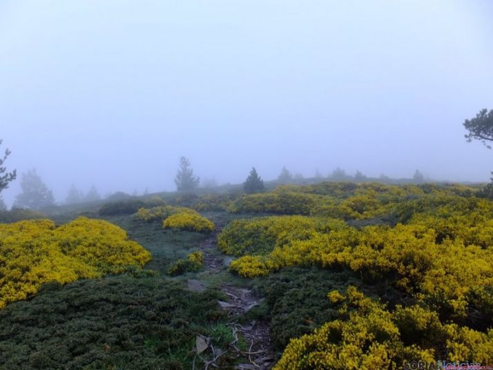 Paisaje con niebla en el Moncayo./GC
