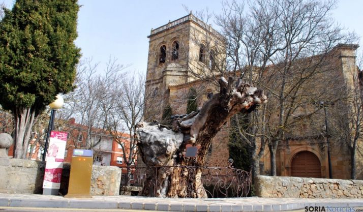 El olmo en las cercanías de la iglesia del Espino. / SN