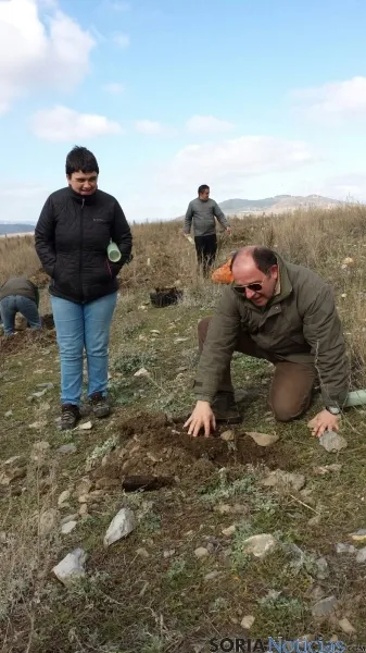 Foto 2 - Los del 65 de &Aacute;greda aportan al "Bosque de los Quintos"