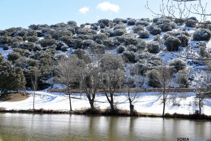 Soria nevada. /Ana Isla