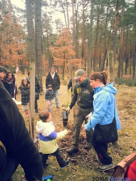 El tiempo ha permitido la celebración del Día del Árbol