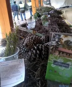 Una de las plantas de la muestra.