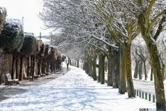 Soria nevada. /Ana Isla