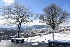 Soria nevada. /Ana Isla