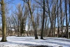 Soria nevada. /Ana Isla