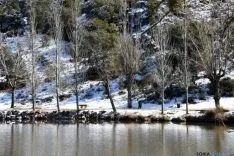 Soria nevada. /Ana Isla