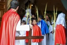 Procesión de la Borriquilla de Soria
