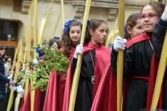 Procesión de la Borriquilla de Soria