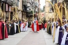 Procesión de la Borriquilla de Soria