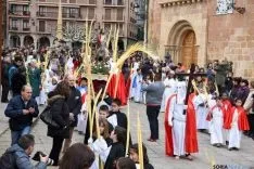 Procesión de la Borriquilla de Soria