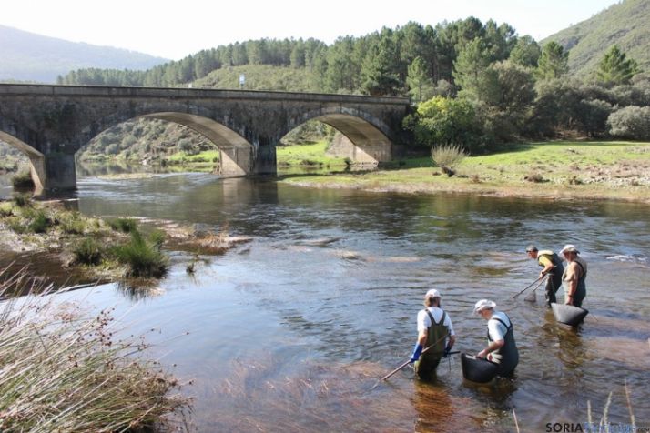 Los resultados científicos están siendo satisfactorios.