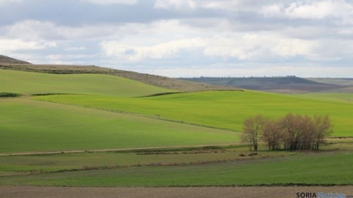 El reglamento introduce novedades en el reparto de los pastos.