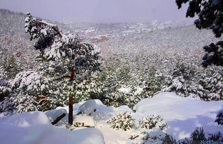 Nevada en Duruelo el pasado febrero./SN