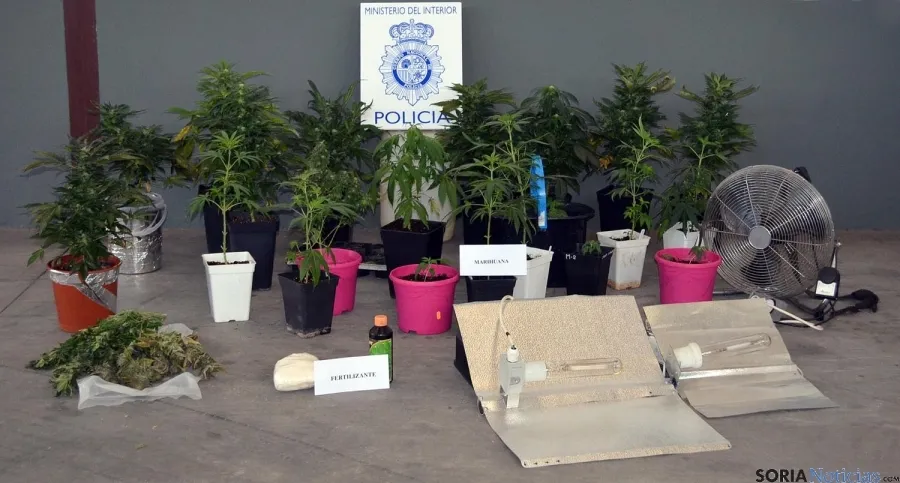 Marihuana y sustancias incautadas.