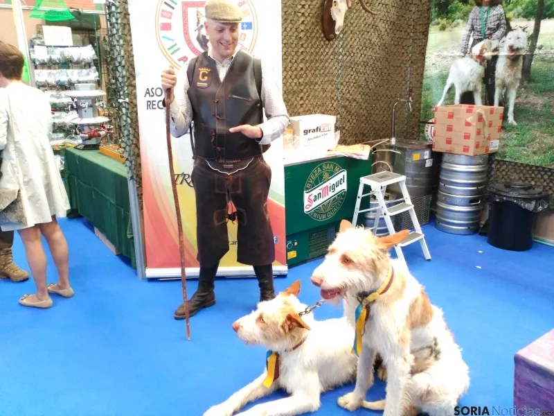 Estand de la asociacion de las realas