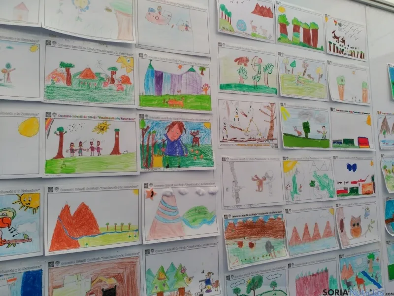 Dibujos del concurso