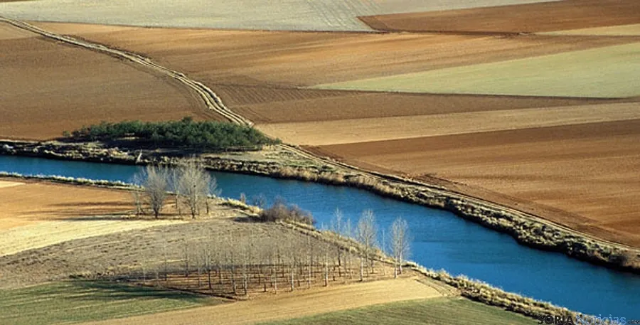 Paisaje del Duero entre tierras de cultivo en la provincia. / Ana Isla