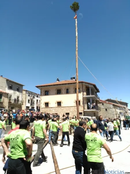 Pingada del Mayo 2016 de Cabrejas del Pinar
