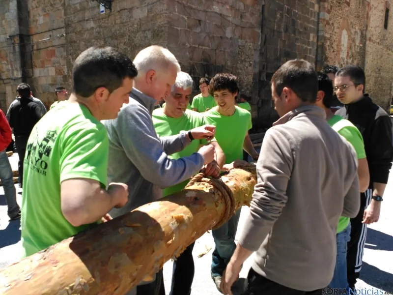 Pingada del Mayo 2016 de Cabrejas del Pinar