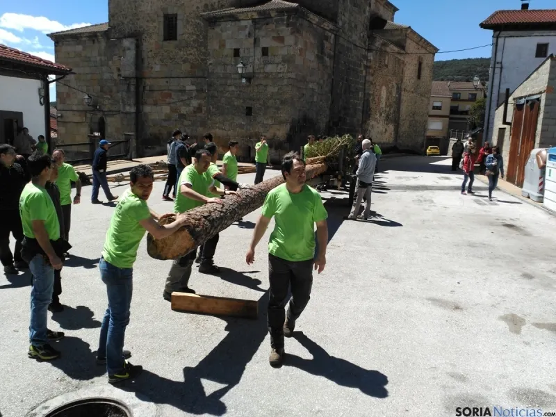 Pingada del Mayo 2016 de Cabrejas del Pinar