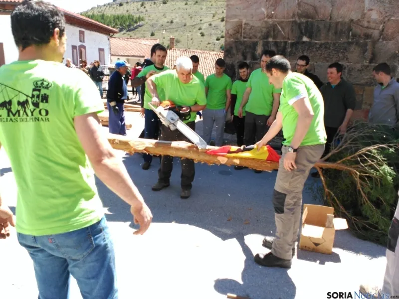 Pingada del Mayo 2016 de Cabrejas del Pinar