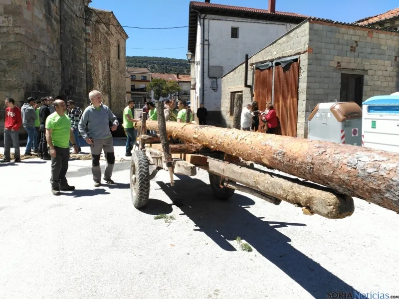 Pingada del Mayo 2016 de Cabrejas del Pinar