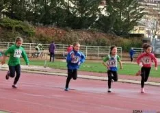 Jornada final en Los Pajaritos./SN