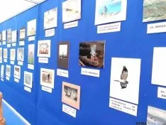 Fotografías del concurso